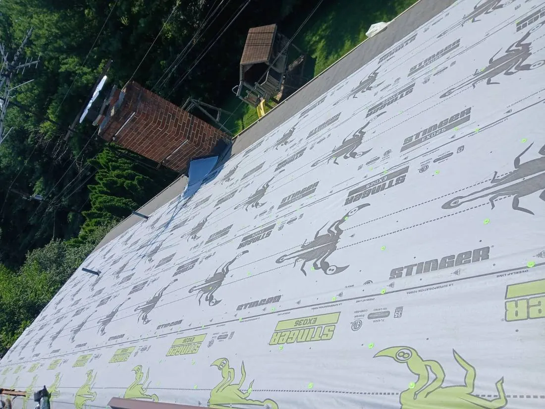 STINGER Dried-In · Allentown — underlayment by Birdie Roofing